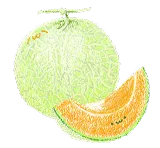 メロンアイコン