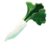 だいこんアイコン